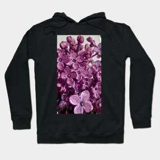 Floral Pattern 8 Hoodie